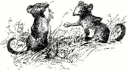 Mice